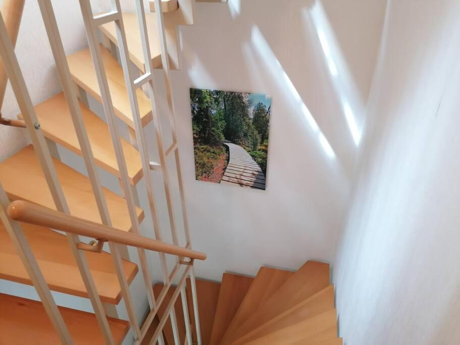 Ferienhaus Hoher Weg - Urlaub, Wandern, Downhill Und Workation Am Nationalpark Harz Sankt Andreasberg Kültér fotó