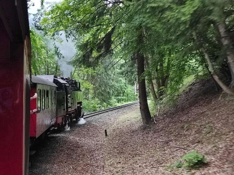 Ferienhaus Hoher Weg - Urlaub, Wandern, Downhill Und Workation Am Nationalpark Harz Sankt Andreasberg Kültér fotó