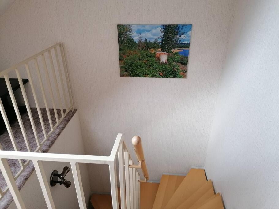 Ferienhaus Hoher Weg - Urlaub, Wandern, Downhill Und Workation Am Nationalpark Harz Sankt Andreasberg Kültér fotó