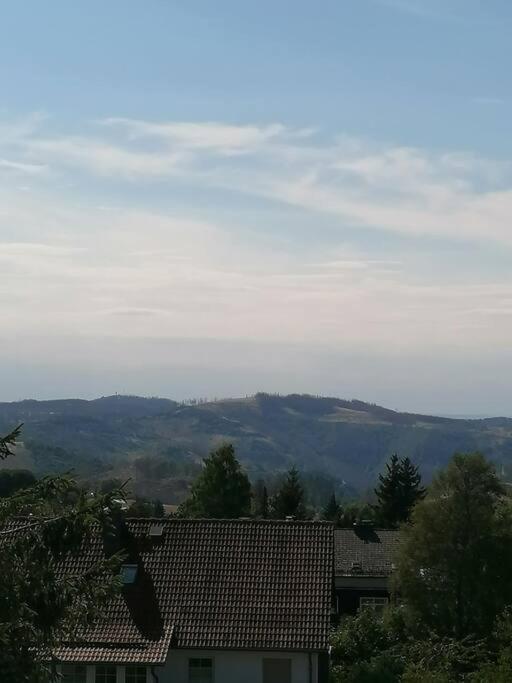 Ferienhaus Hoher Weg - Urlaub, Wandern, Downhill Und Workation Am Nationalpark Harz Sankt Andreasberg Kültér fotó