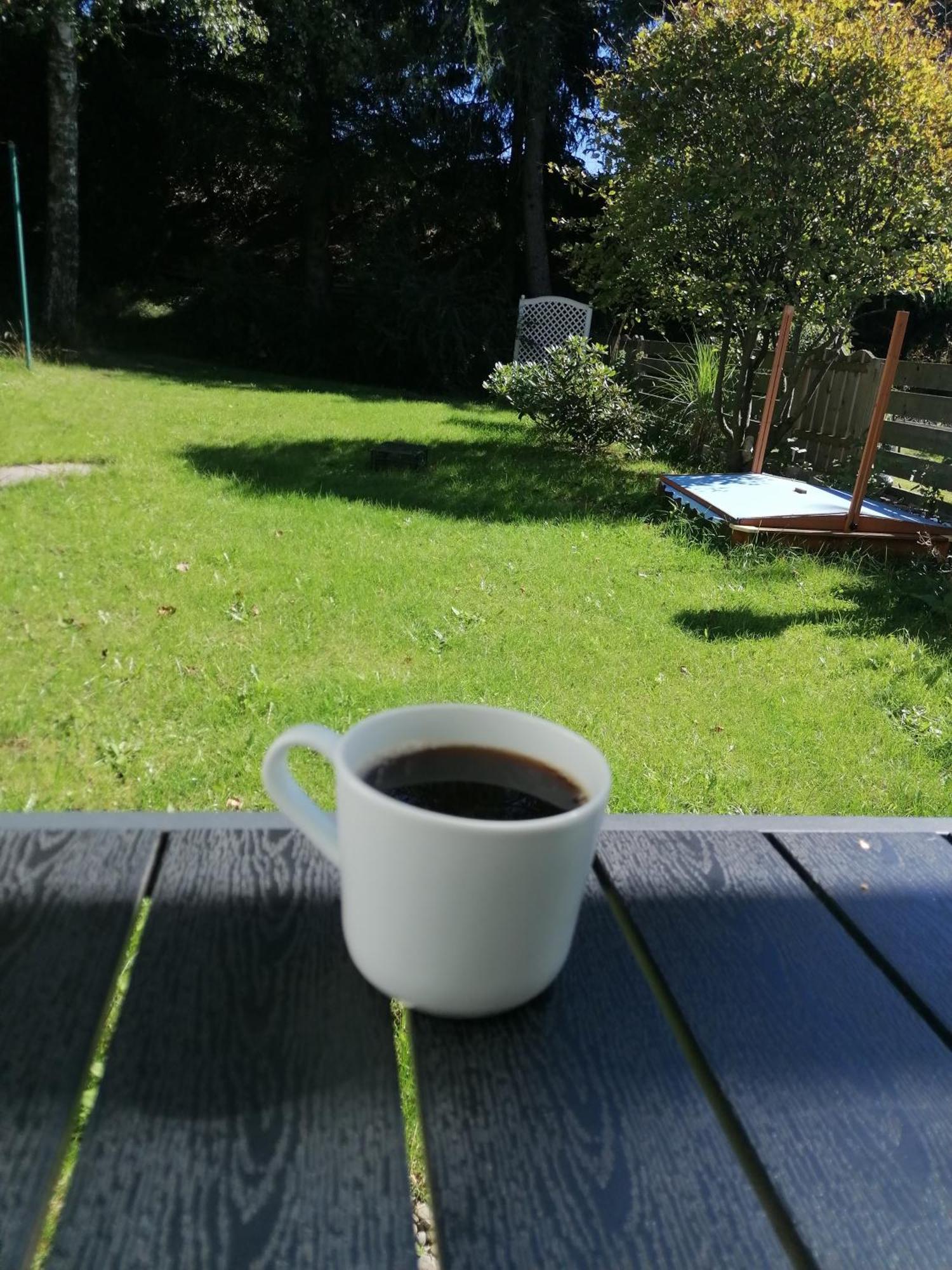 Ferienhaus Hoher Weg - Urlaub, Wandern, Downhill Und Workation Am Nationalpark Harz Sankt Andreasberg Kültér fotó